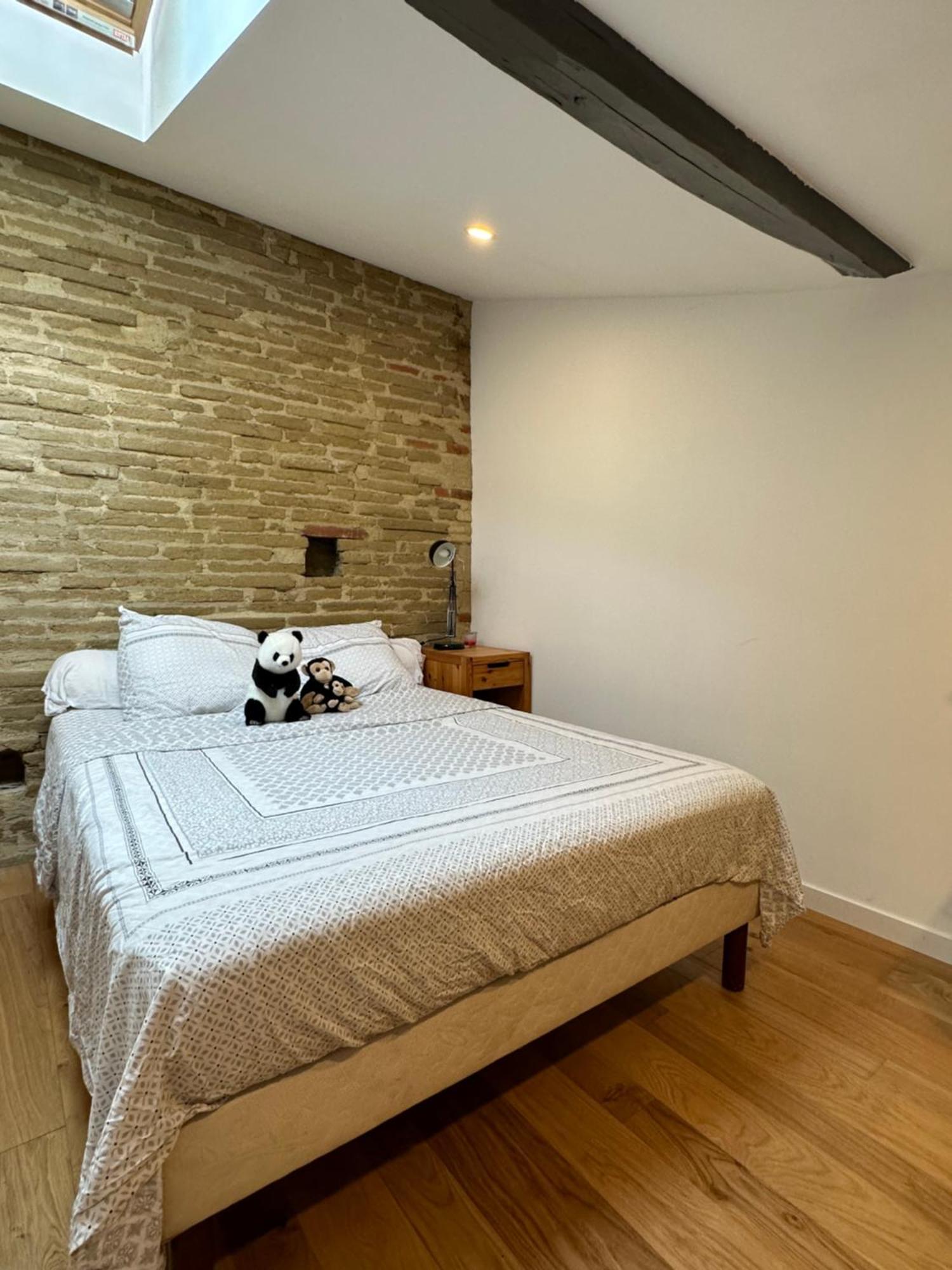 L Appartement Canal Du Midi 툴루즈 외부 사진